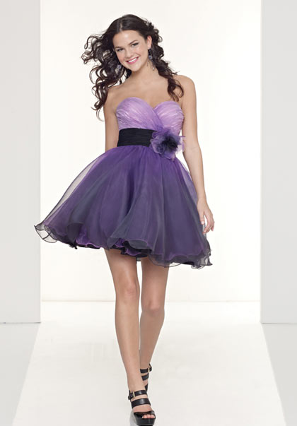 9041 - Purple