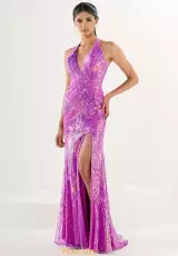 Wild Orchid