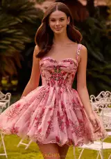 Blush/Red Print