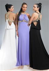 Full Length View