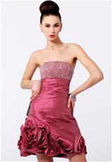 Wild Rose