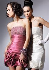 Wild Rose and Ivory