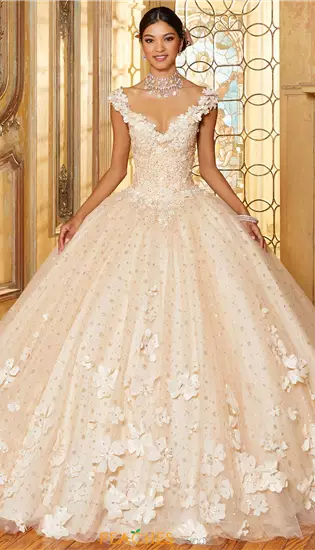 Vizcaya Quinceanera 34063
