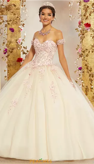 Vizcaya Quinceanera 60071