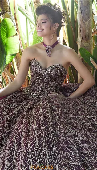 Vizcaya Quinceanera 89199