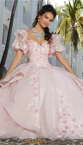 Vizcaya Quinceanera 34074