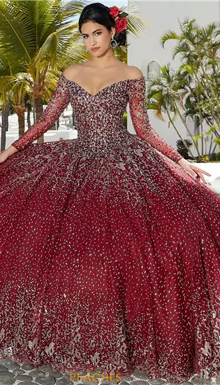 Vizcaya Quinceanera 89355