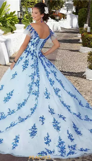 Vizcaya Quinceanera 89365