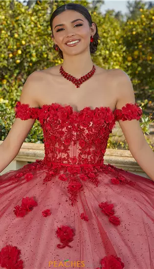 Vizcaya Quinceanera 60185