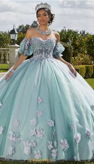 Vizcaya Quinceanera 89421