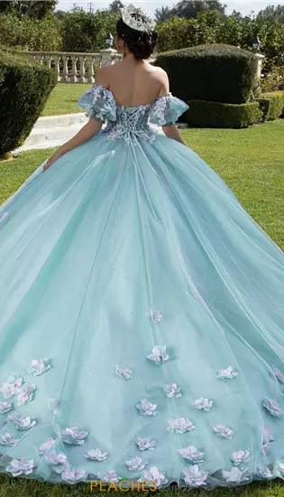 Vizcaya Quinceanera 89421