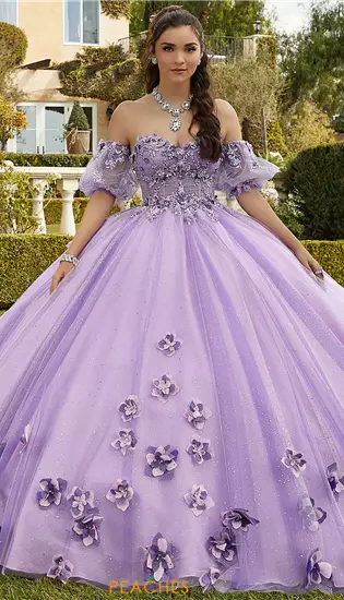 Vizcaya Quinceanera 89421