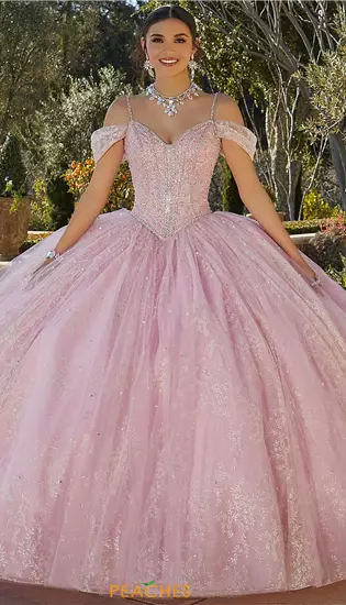 Vizcaya Quinceanera 89430