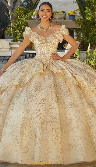 Vizcaya Quinceanera 89431