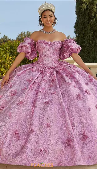 Vizcaya Quinceanera 89436