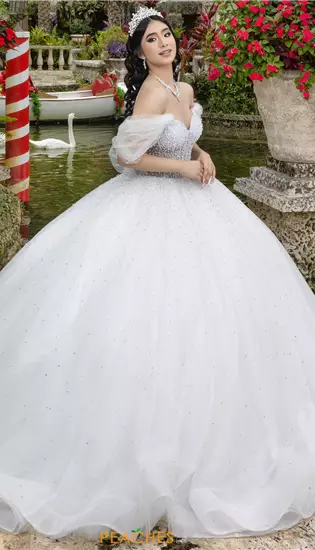 LizLuo Quinceanera 26102