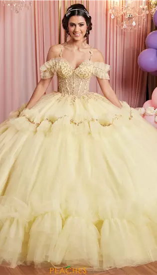 Vizcaya Quinceanera 89508