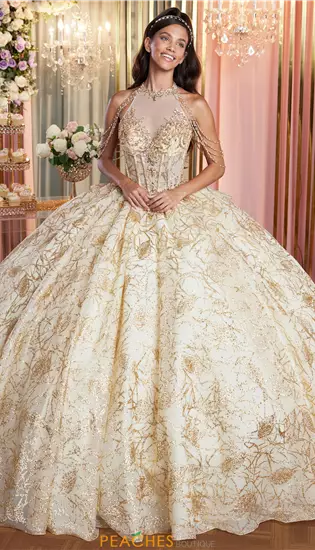 Vizcaya Quinceanera 89514