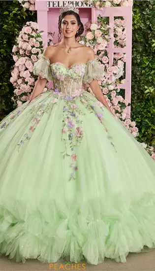 Vizcaya Quinceanera 89510