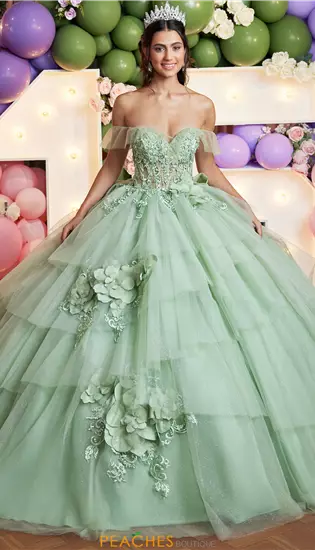 Vizcaya Quinceanera 89522