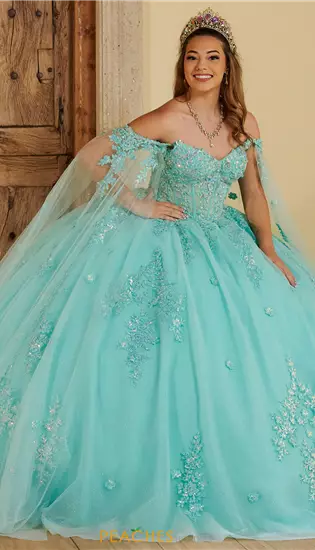 LizLuo Quinceanera 56516