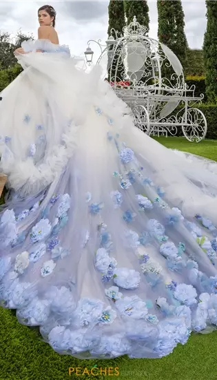 LizLuo Quinceanera 80025