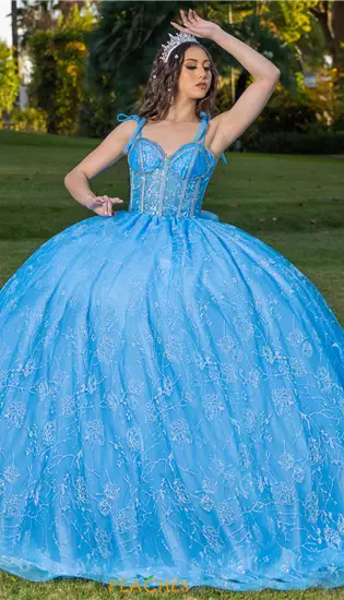 LizLuo Quinceanera 26098
