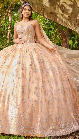 LizLuo Quinceanera 56510