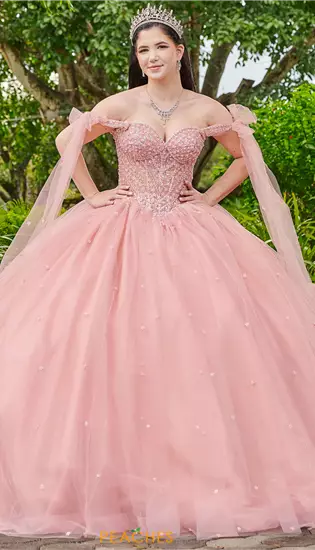 LizLuo Quinceanera 56518