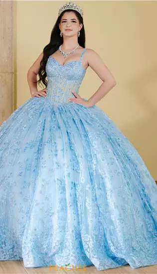 LizLuo Quinceanera 56510