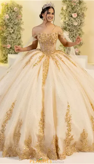 LizLuo Quinceanera 56560