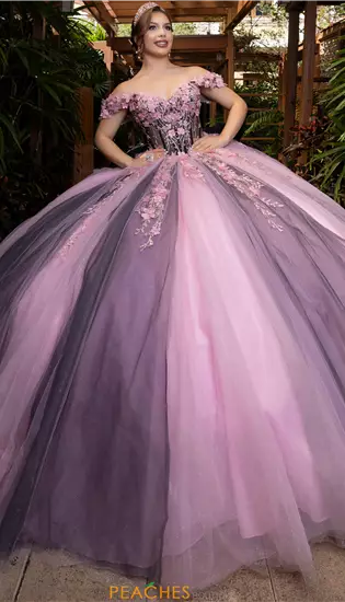 Vizcaya Quinceanera 4080018