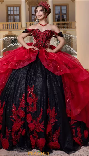 Vizcaya Quinceanera 4080000