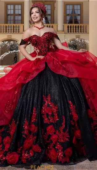 Vizcaya Quinceanera 4080000