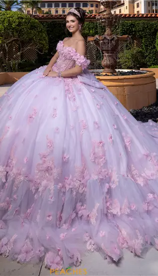 Vizcaya Quinceanera 4080024