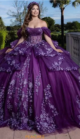 Vizcaya Quinceanera 4080027
