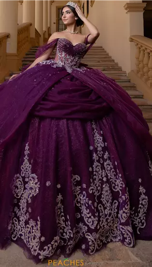 Vizcaya Quinceanera 4080019