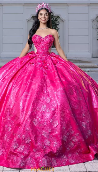 Vizcaya Quinceanera 4080031