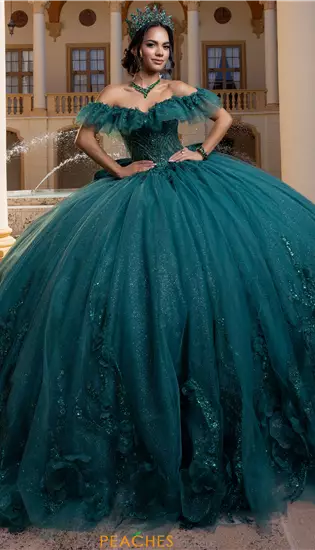Vizcaya Quinceanera 4080015