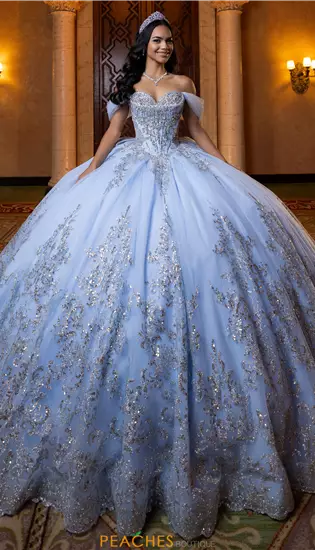 Vizcaya Quinceanera 4080013