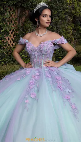 Vizcaya Quinceanera 4080018