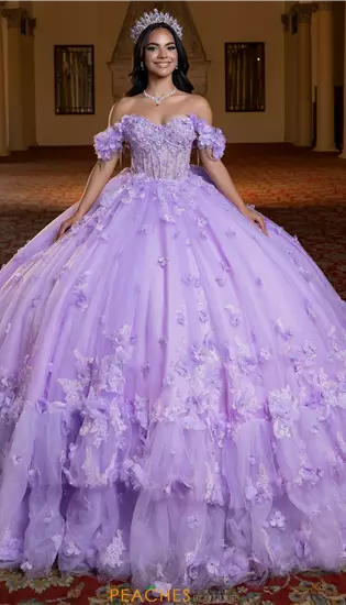 Vizcaya Quinceanera 4080024