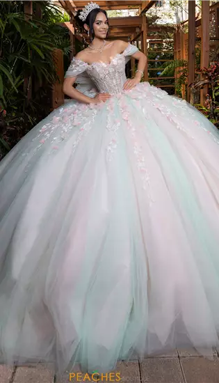 Vizcaya Quinceanera 4080001
