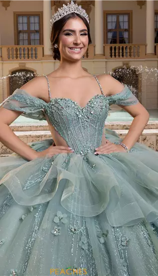 Vizcaya Quinceanera 4080010