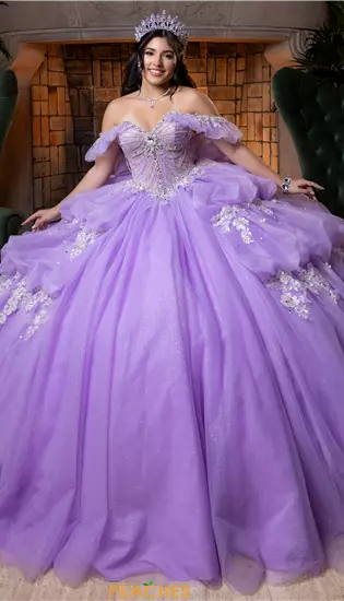 Vizcaya Quinceanera 4080014