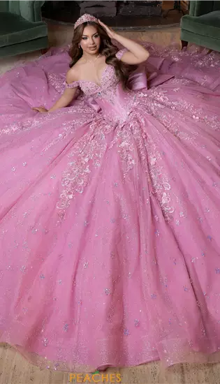 Vizcaya Quinceanera 4080029