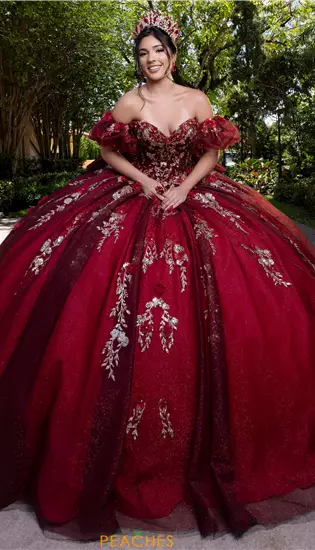 Vizcaya Quinceanera 4080022