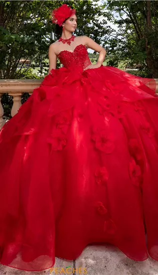 Vizcaya Quinceanera 4080012