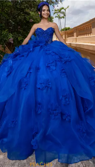 Vizcaya Quinceanera 4080012