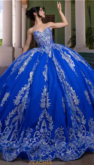 Vizcaya Quinceanera 4080021
